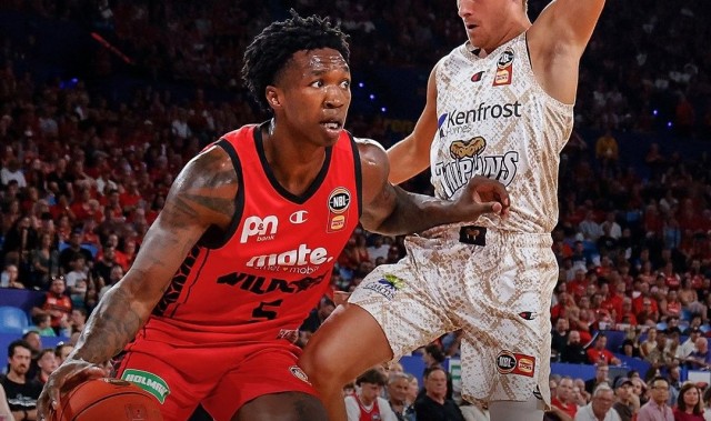 今天野猫稳了？野猫过去20场对阵太攀蛇17胜3负